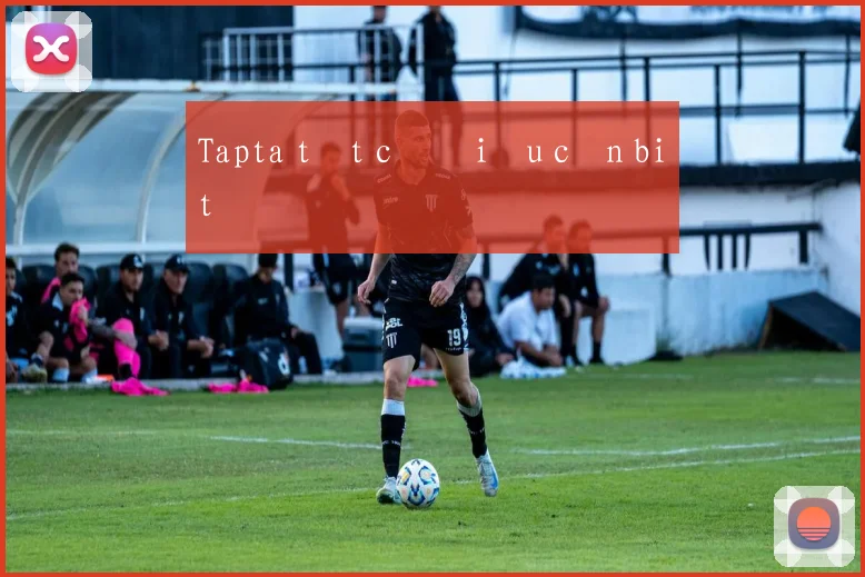 Tapta tất cả điều cần biết