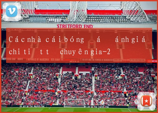Các nhà cái bóng đá đánh giá chi tiết từ chuyên gia
