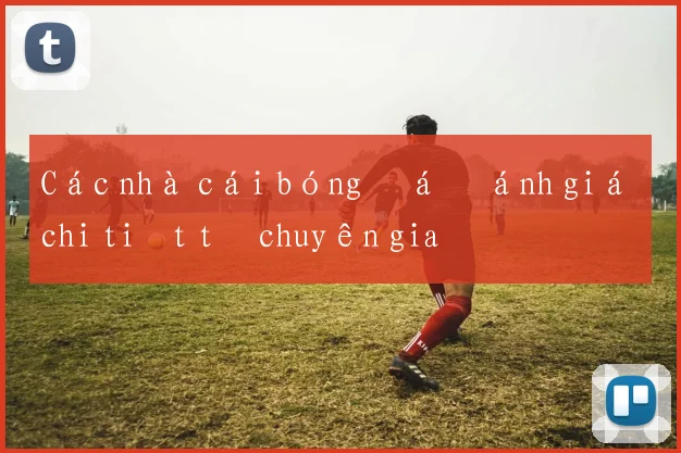 Các nhà cái bóng đá đánh giá chi tiết từ chuyên gia